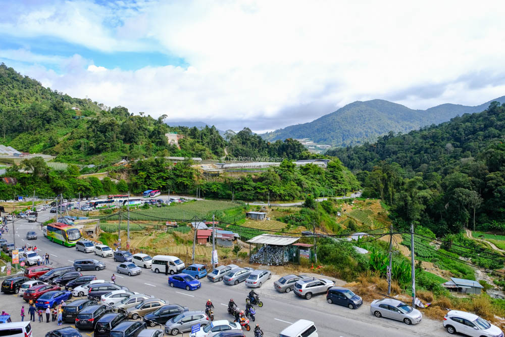 PKPP: Cameron Highlands kembali ‘panas’