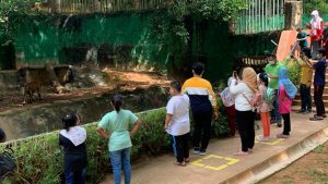 Zoo mlk