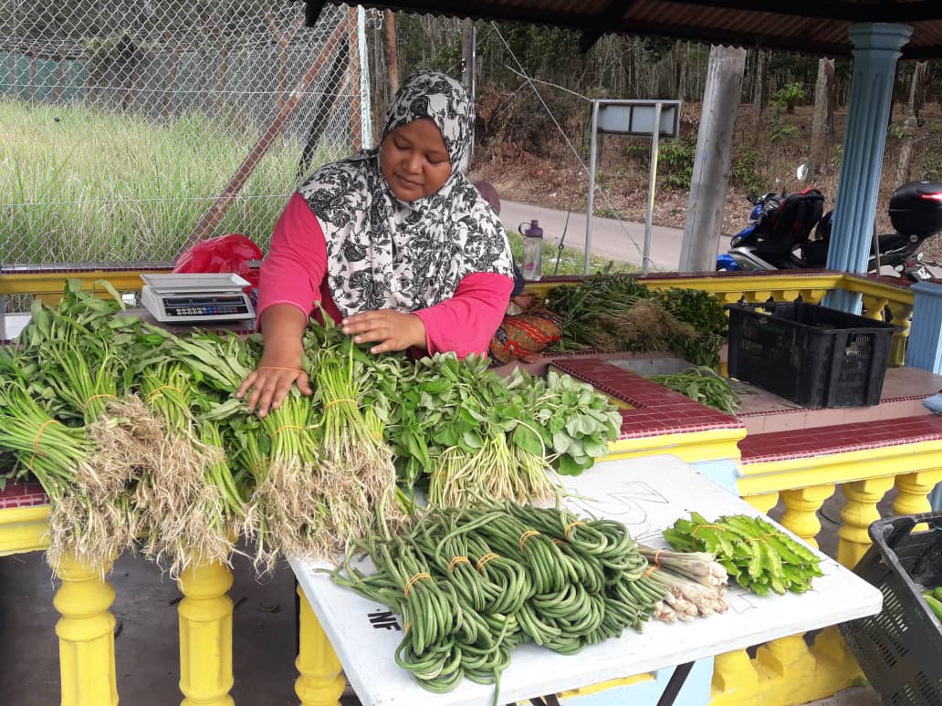 Harga sayur di Melaka naik sehingga 70 peratus