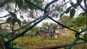 Sisa toksik tanjung kling