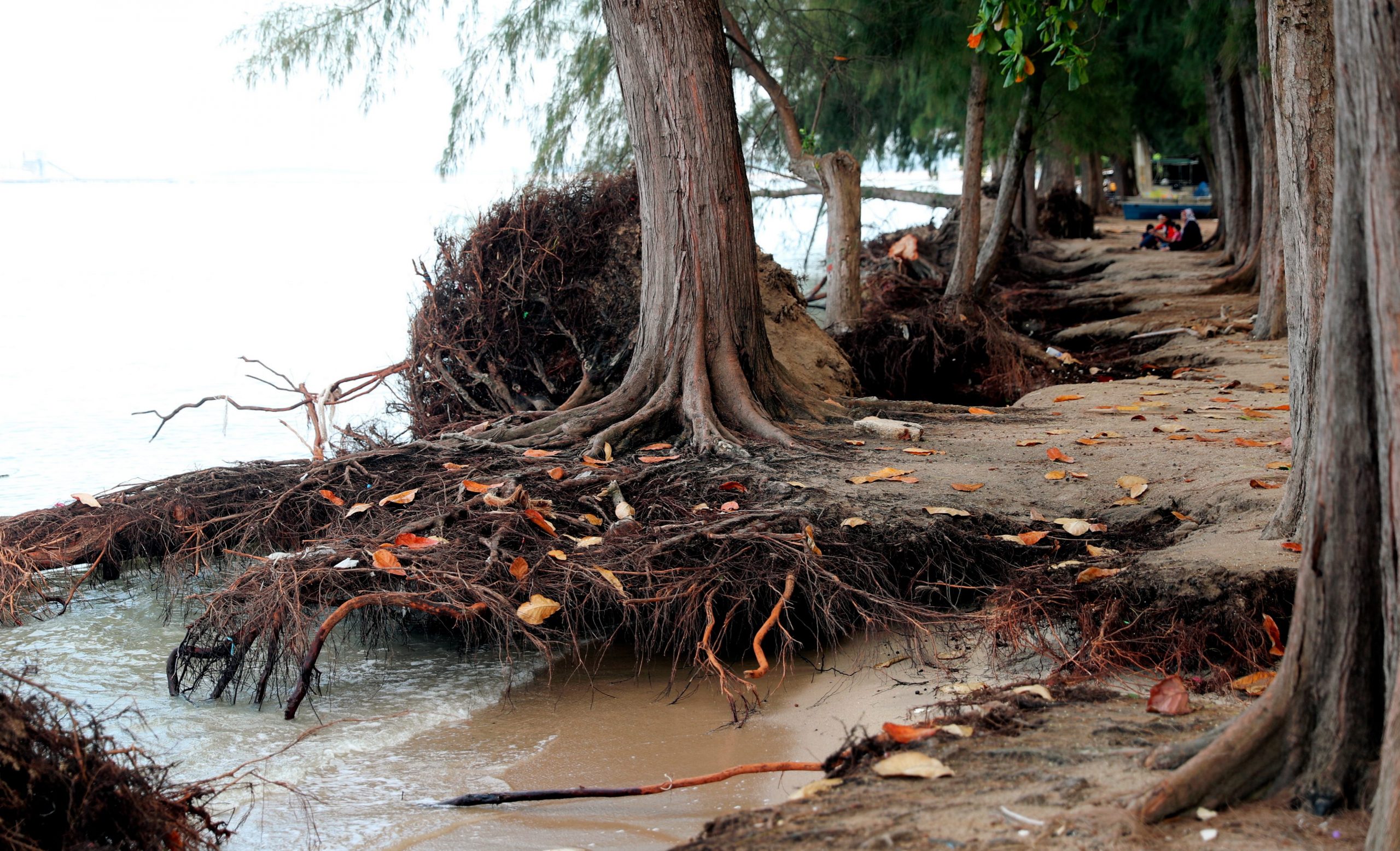 Pantai puteri (5)