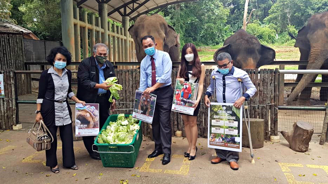 Zoo Melaka terima lebih lima tan bantuan makanan haiwan