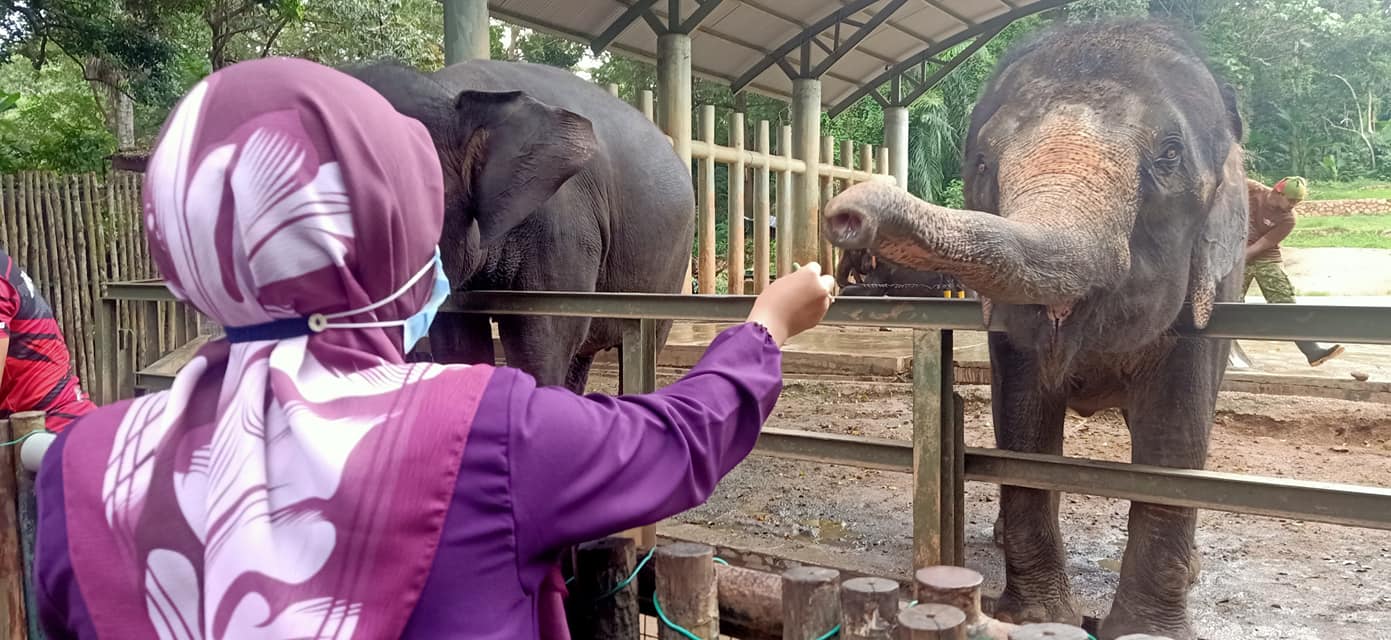 Pengunjung mula datang ke Zoo Melaka