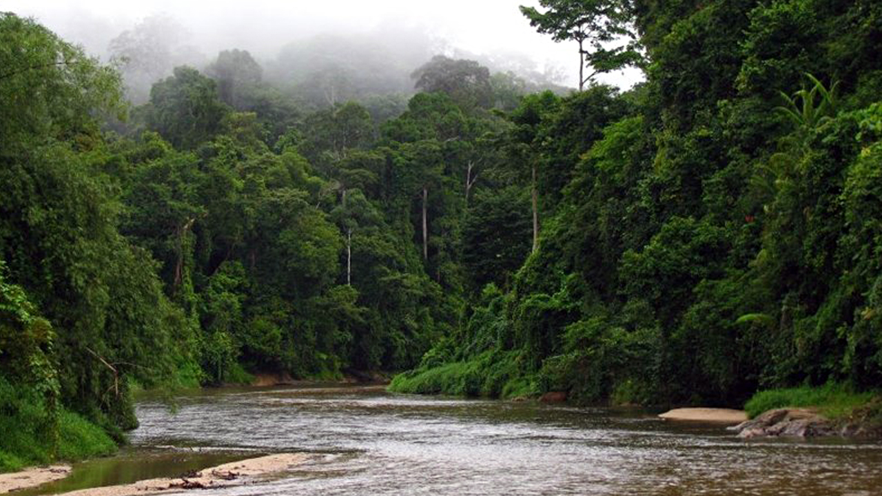 Penerokaan REE ancam keselamatan bekalan air Perlis, Kedah dan Pulau Pinang