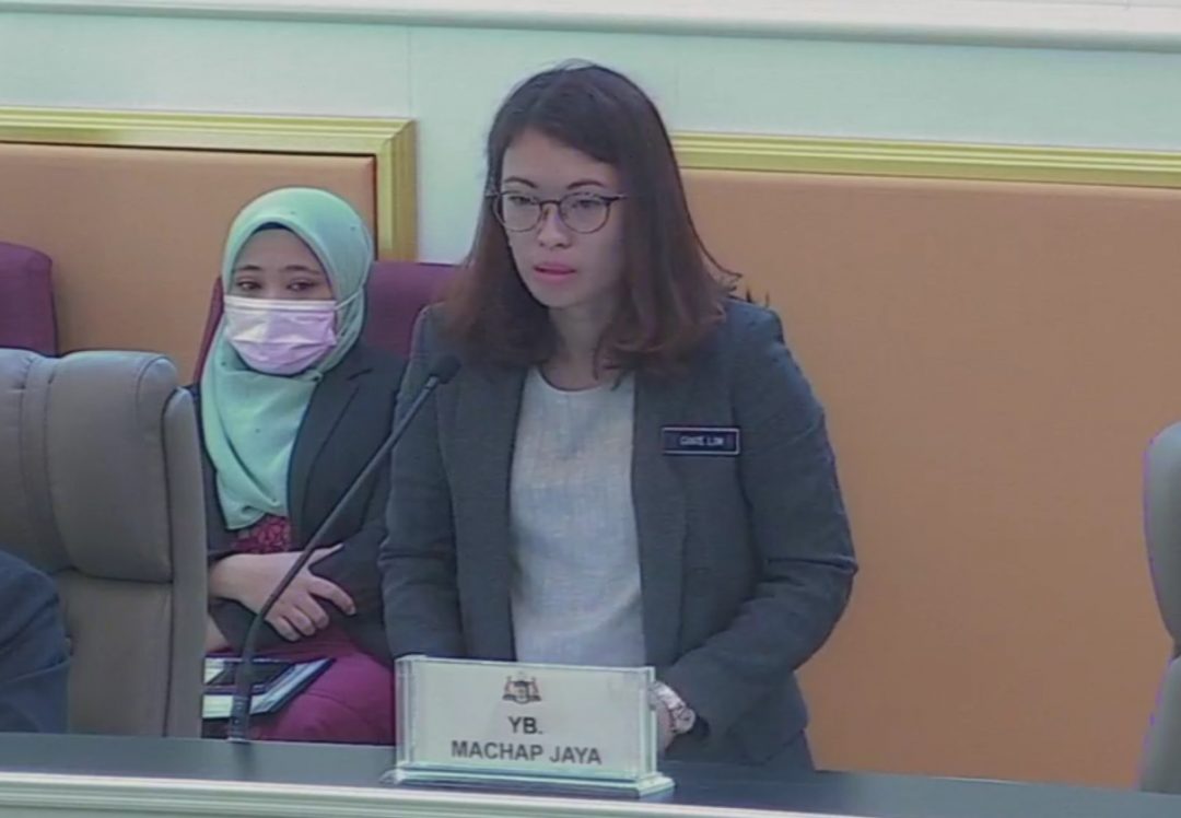 Akar umbi PKR mahu Ginie Lim bertanding di Machap Jaya