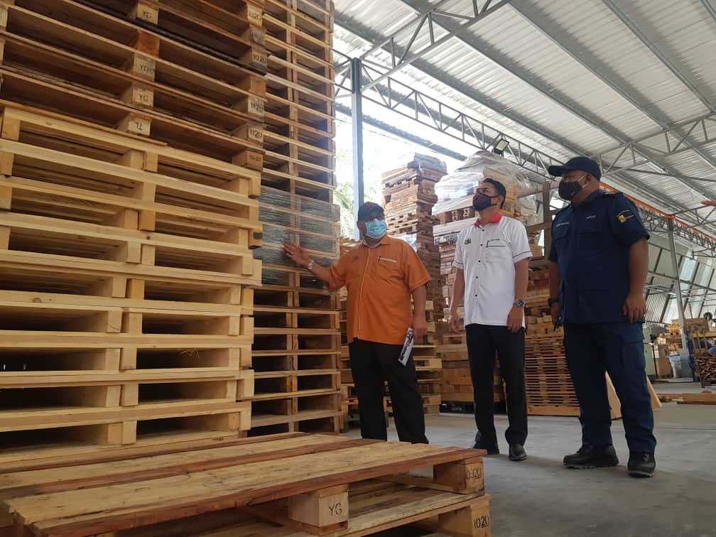 Kilang kayu haram dalam kebun kelapa sawit diserbu