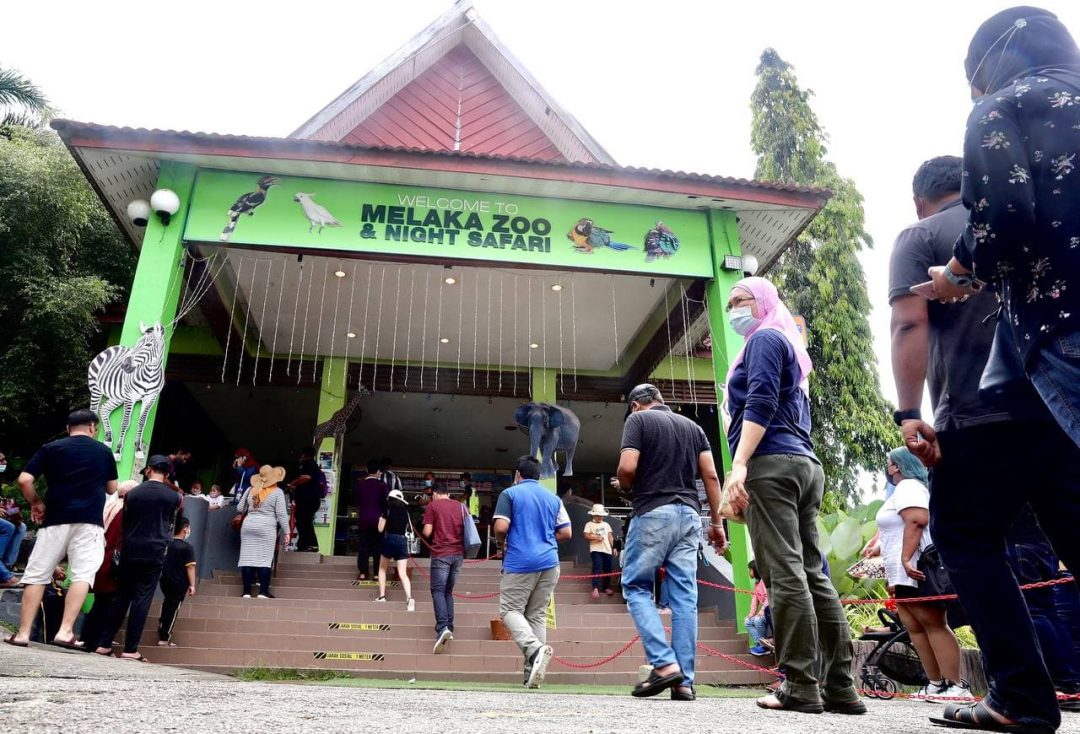 Zoo Melaka kurangkan kapasiti penonton dalam pertunjukan haiwan