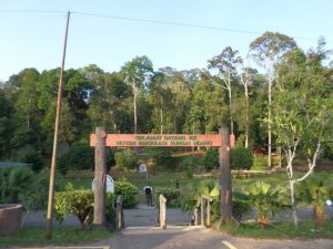 Sungai Udang Recreational Forest 1024x768 Crdt Tempatmenarik.my