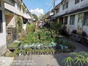 Whatsapp image 2021 01 28 at 14.04.45