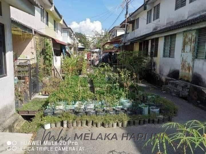 Tidak salah nak bercucuk tanam, jangan berlebih-lebihan