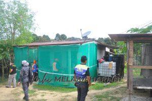 Whatsapp image 2021 01 28 at 19.33.08