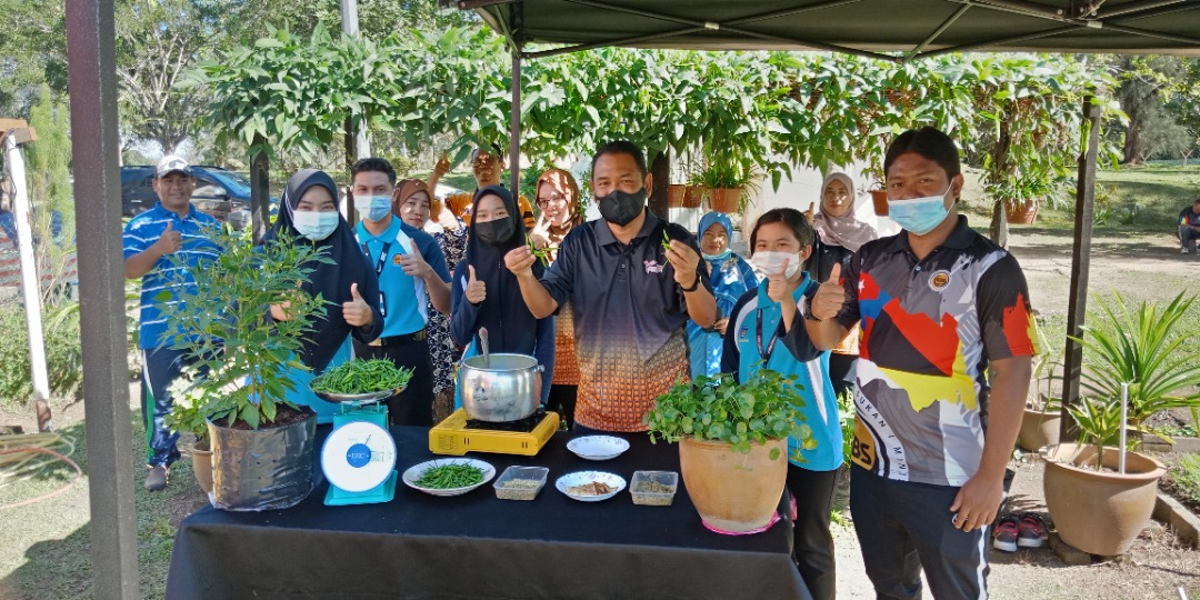 Pelajar jurusan elektrik, hospitaliti diajar berkebun