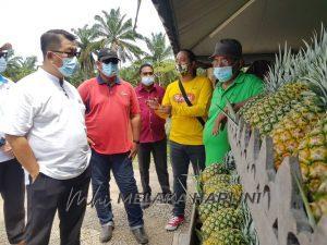 Whatsapp image 2021 02 09 at 17.08.35