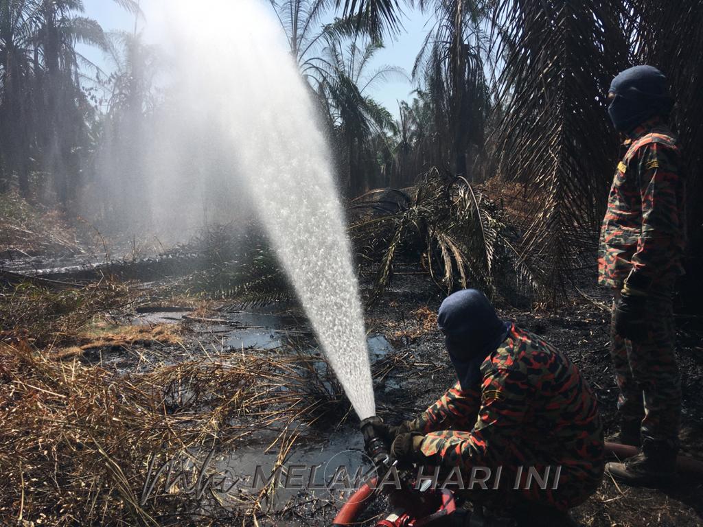 Dua hari diperlukan padam kebakaran tanah gambut- JBPM