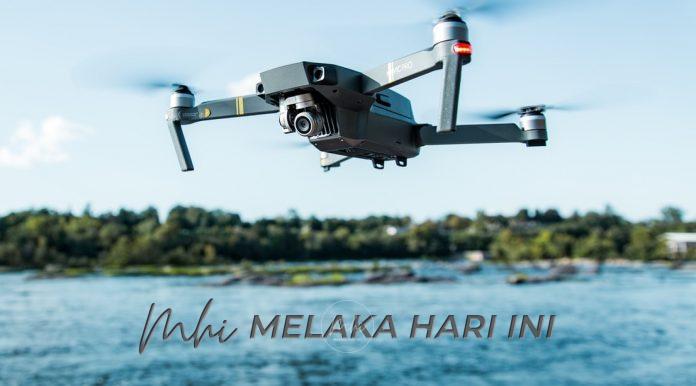 dronee