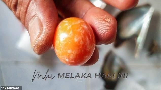 Nelayan mimpi lelaki tua ‘misai bertaring’, dapat mutiara oren Melo RM1.39 juta