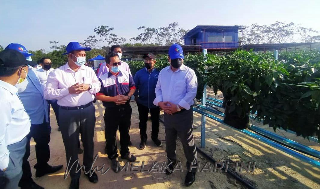 Sulaiman tinjau ladang cili Yayasan Melaka