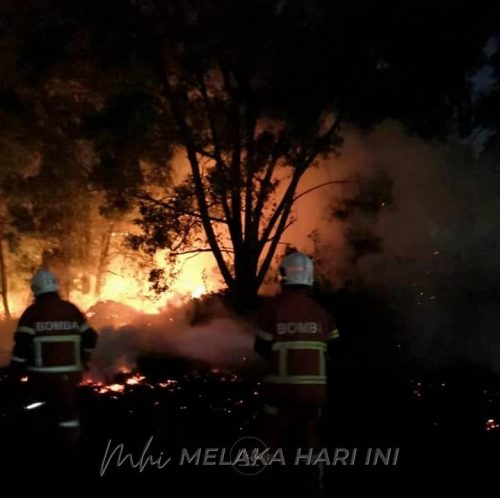 Bomba guna dron dilengkapi kamera thermal, selaras operasi padam kebakaran hutan