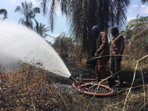 Whatsapp image 2021 03 02 at 6.49.20 pm (1)