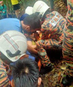 Whatsapp image 2021 03 07 at 1.19.09 pm