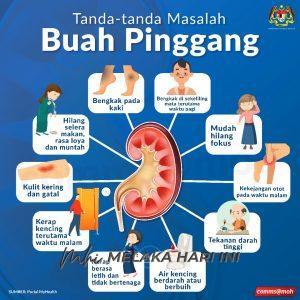 Buah pinggang