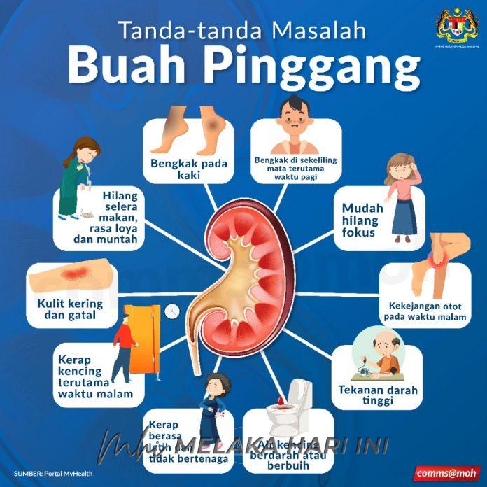Cara Mencegah Sakit Buah Pinggang  olsfarty