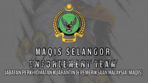 Maqis selangor