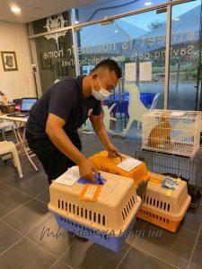 Photo6219811217199966899