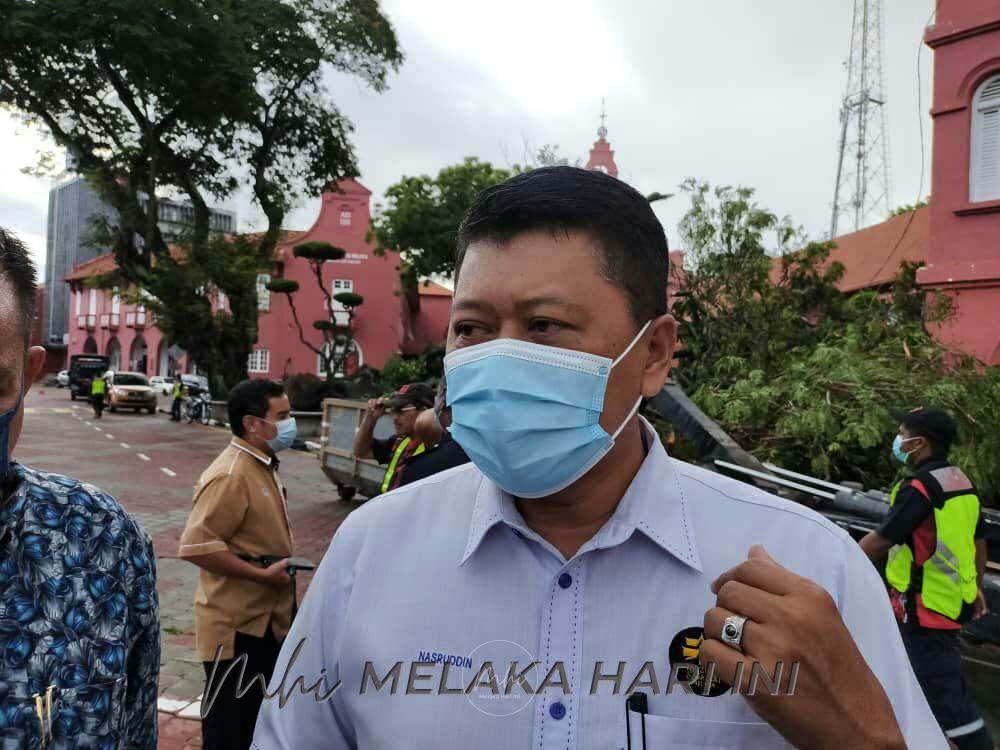 Pokok warisan tumbang: Kenderaan berat jadi punca?