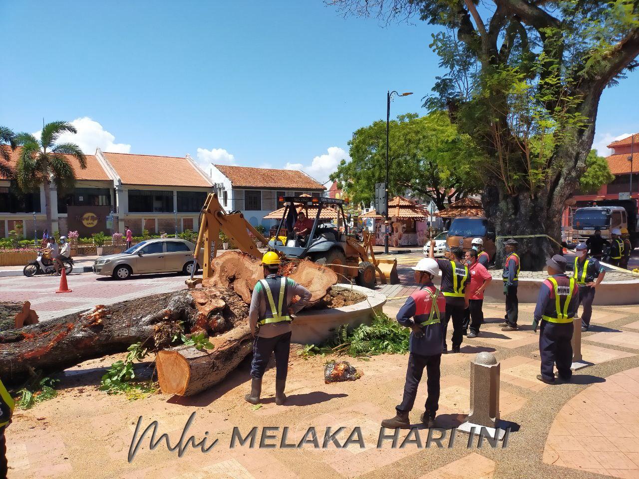 Sidang DUN: Rugi lebih RM300,000 akibat 173 pokok tumbang