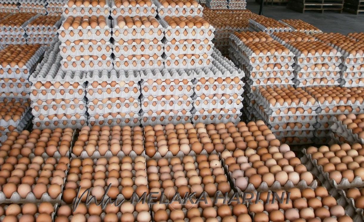 Harga telur ayam stabil di pasaran