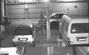 Tmgkap layar video tular