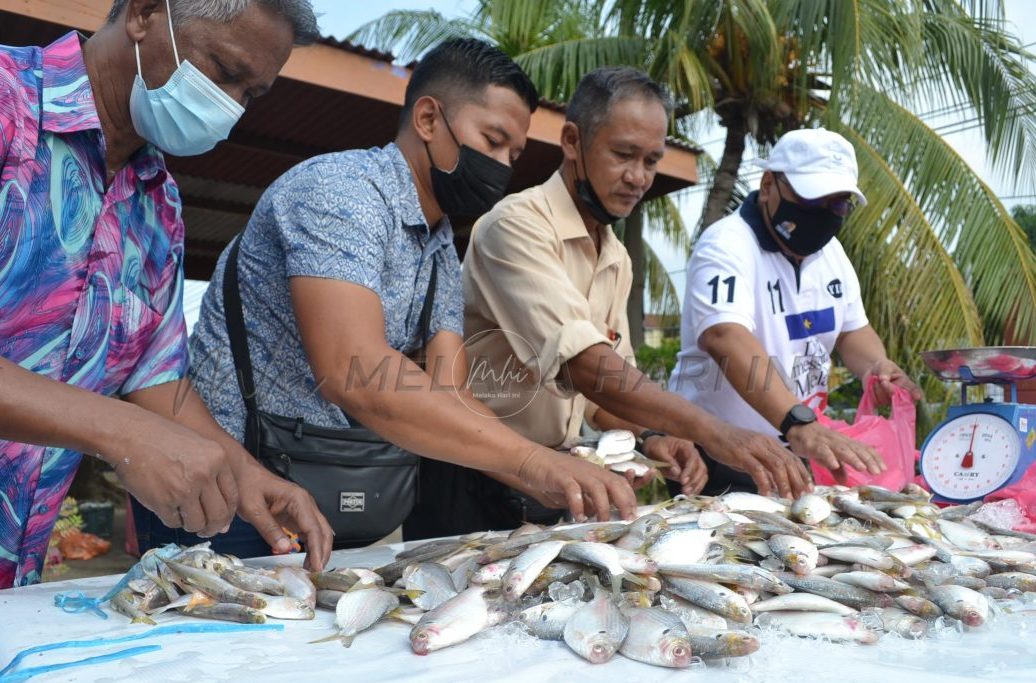 Ikan selangat segar habis dalam dua jam sahaja