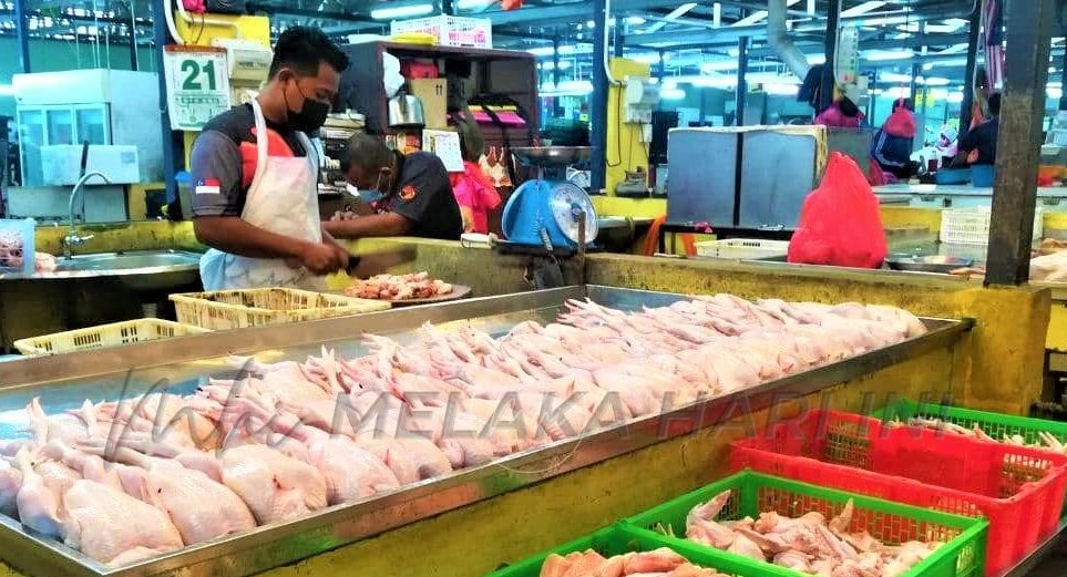 Tiga faktor punca kenaikan harga ayam