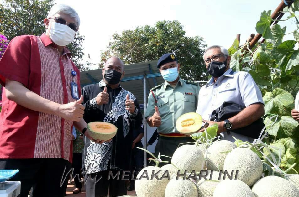 USIM semarakkan agenda prosumer melalui pertanian dalam kampus