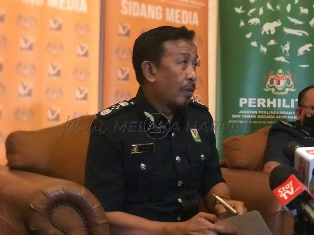 Perhilitan buka 19 kertas siasatan, nilai sitaan RM656,000 dalam OBK 7