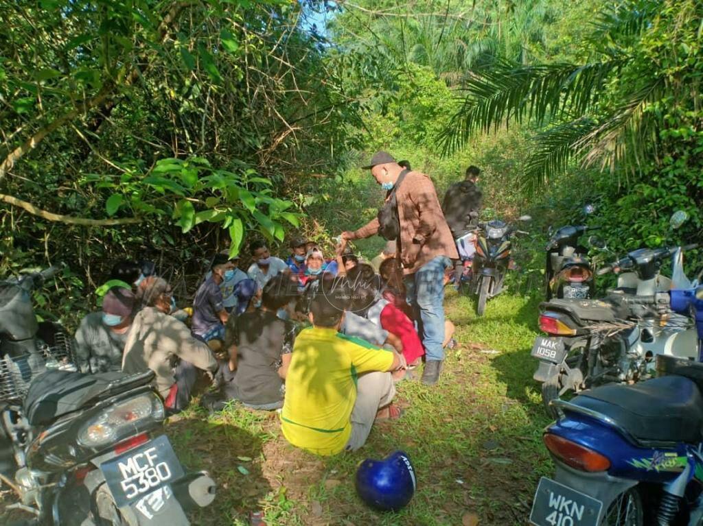 53 individu ditahan terbabit aktiviti dadah