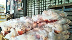 Photo6334537159545039773