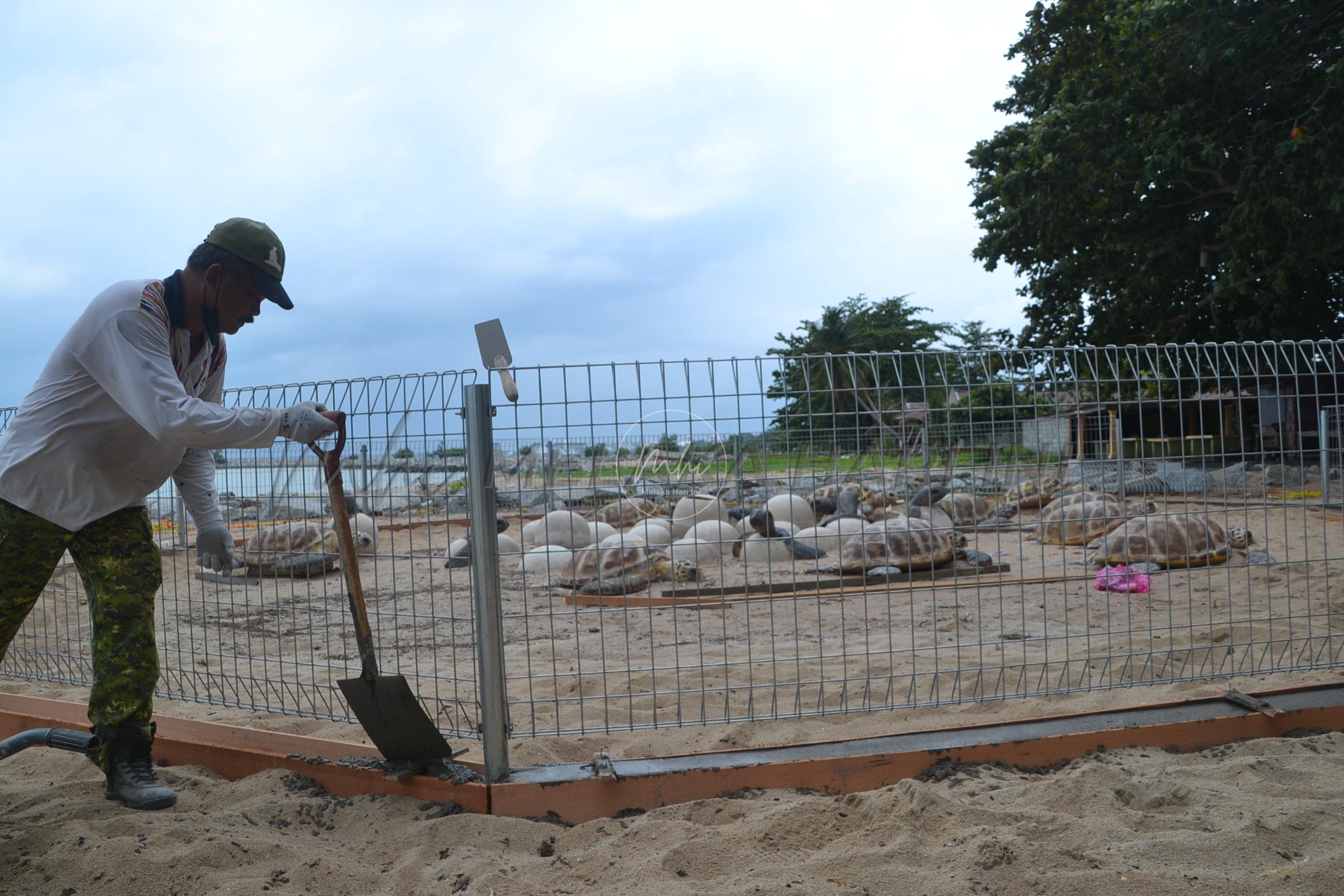 MPAG pagar replika penyu karah, cegah vandalisme