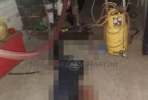 71620858498 lelakimauttongga