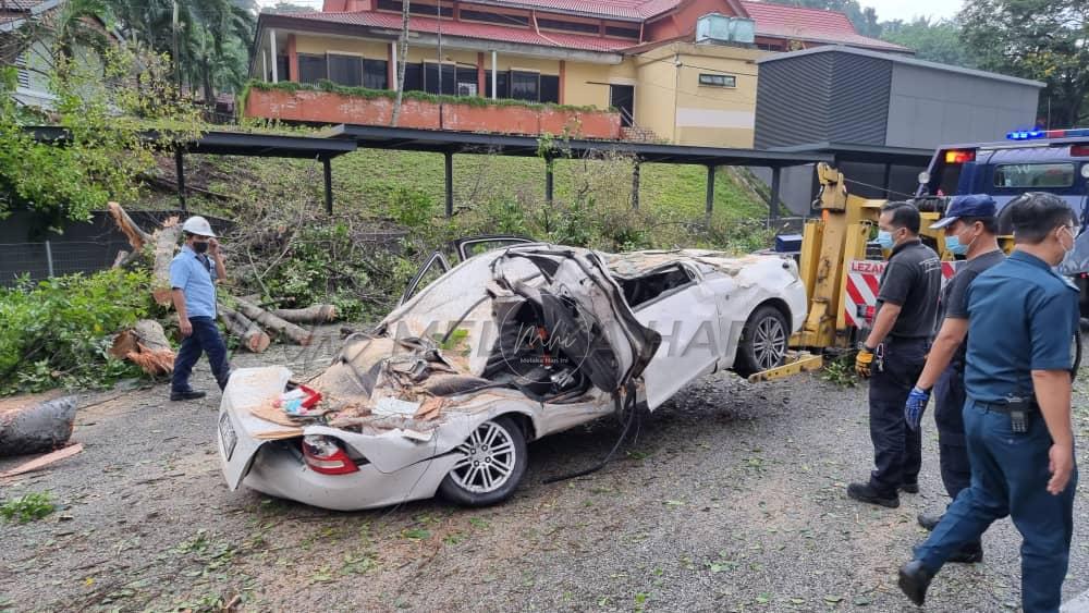 Tiga terselamat, pokok tumbang hempap kereta dan motosikal