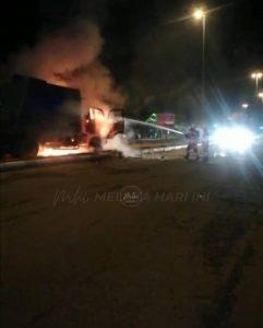 Bomba bakau4