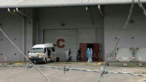 Photo6141103682347969968