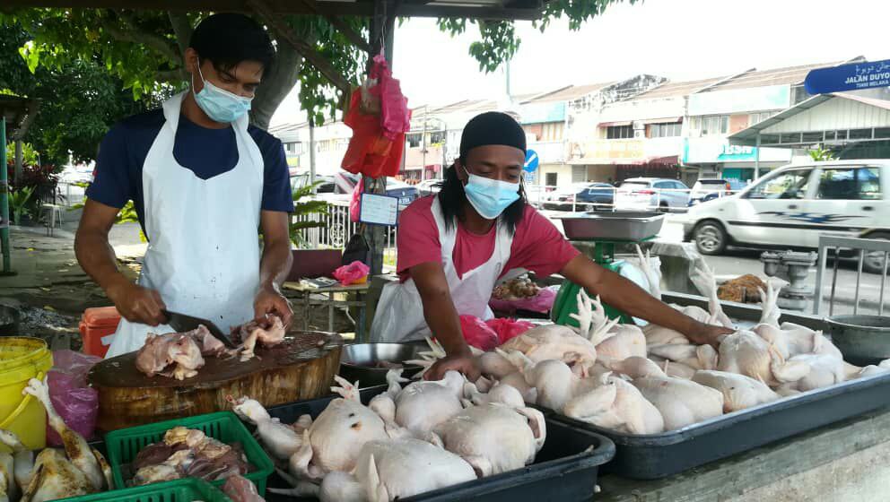 Bekalan ayam segar cukup