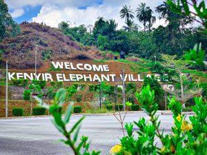 154770141 2849714225276177 8991455840188731122 n