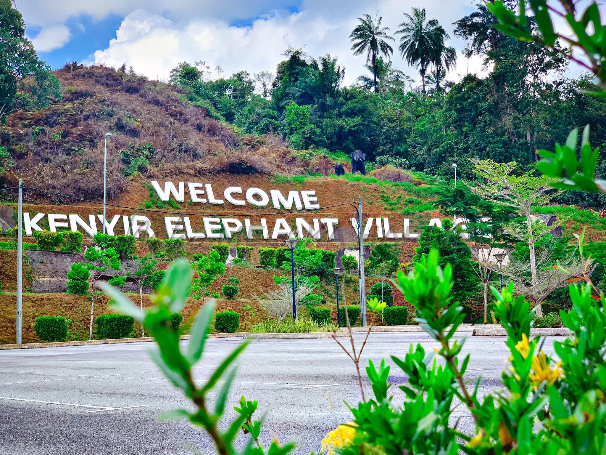 Pekerja warga Thailand maut diserang gajah