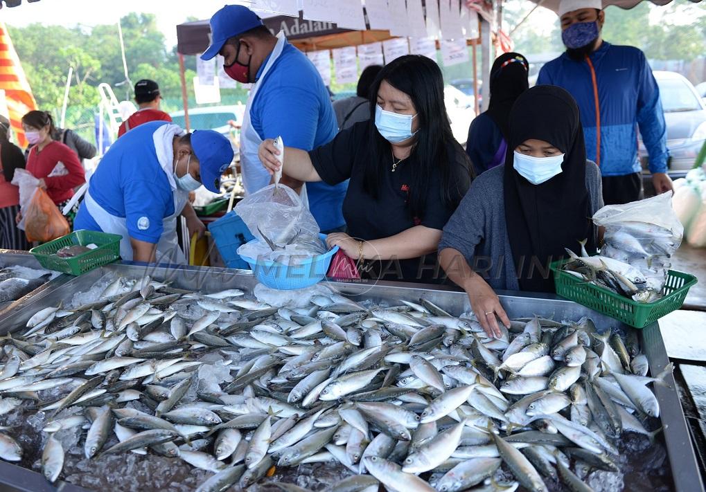 Kekurangan pendaratan ikan tidak jelas bekalan di pasaran
