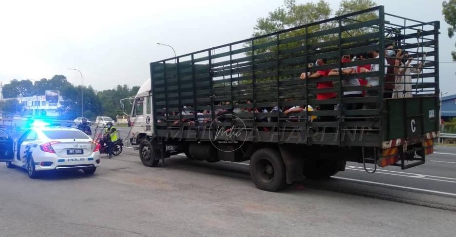 Polis saman pemandu lori bawa 48 pekerja positif COVID-19, siasat majikan