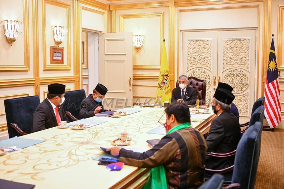 Yang Dipertua Dewan Negara, Dewan Rakyat menghadap Agong