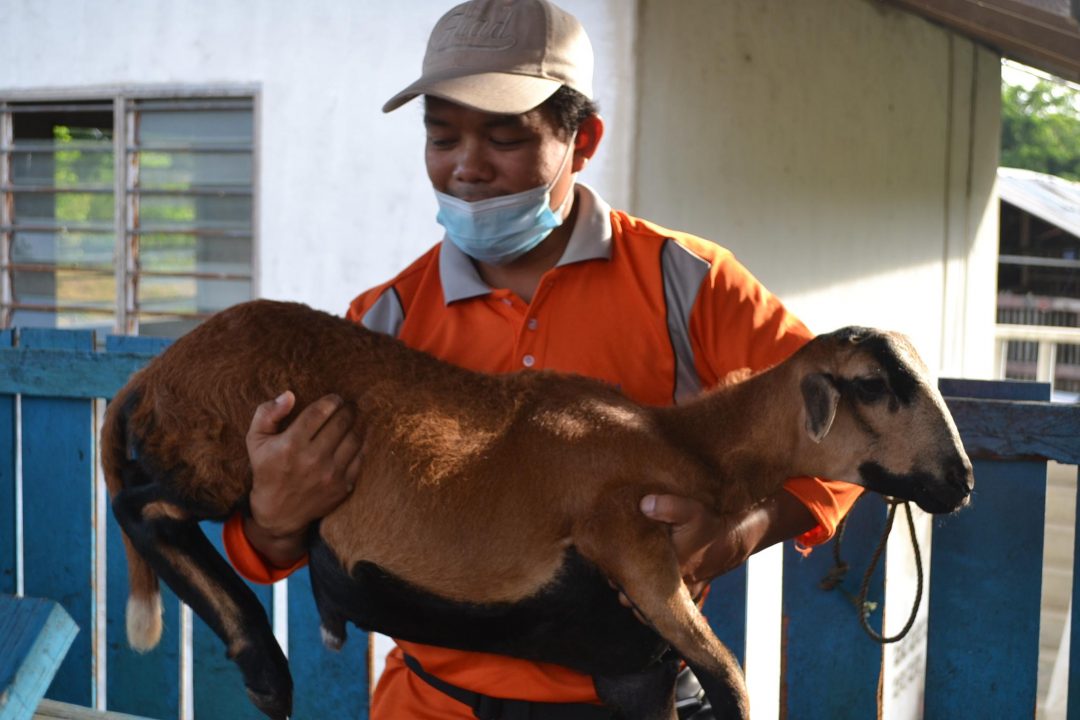 ‘Insya-Allah permintaan kambing korban tetap ada’